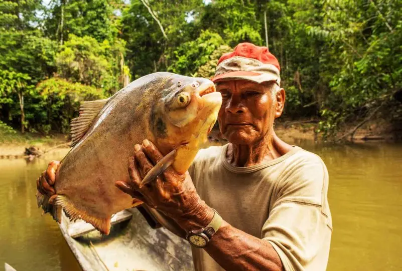 Tổng hợp hình ảnh cá chim phong phú nhất 14