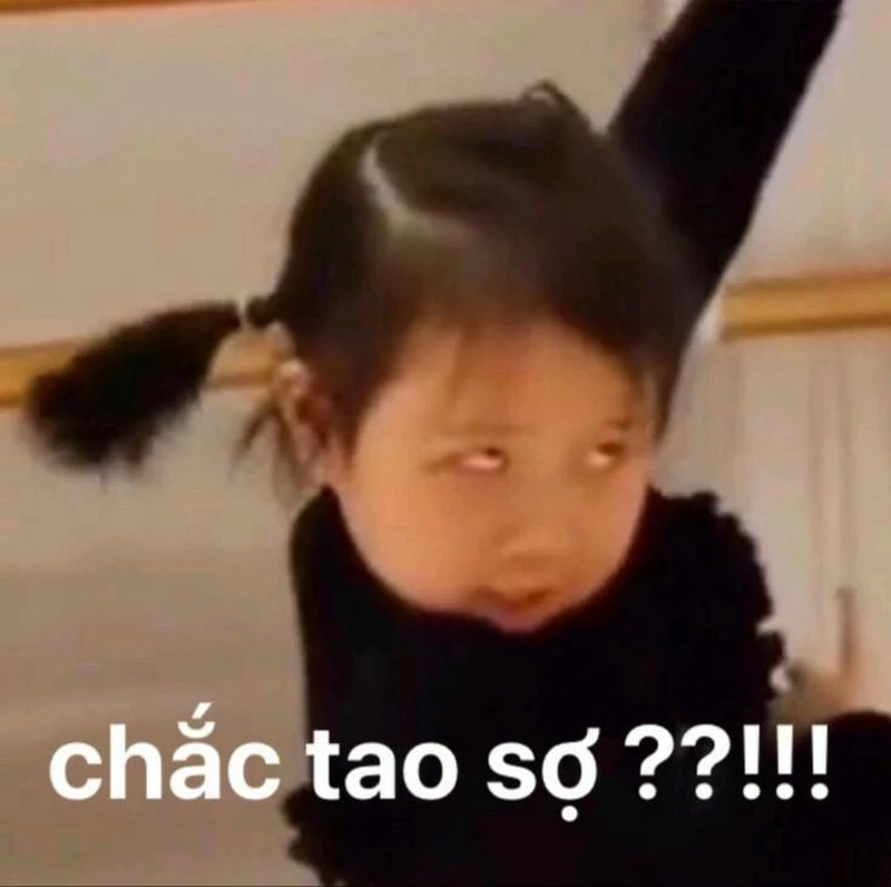 Thêm tiếng cười vào ngày của bạn với meme hài bựa mèo