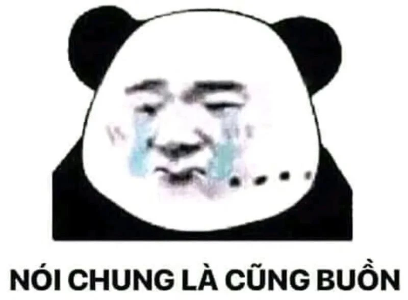 Ảnh dỗi meme hot trend, cực dễ thương và hài hước