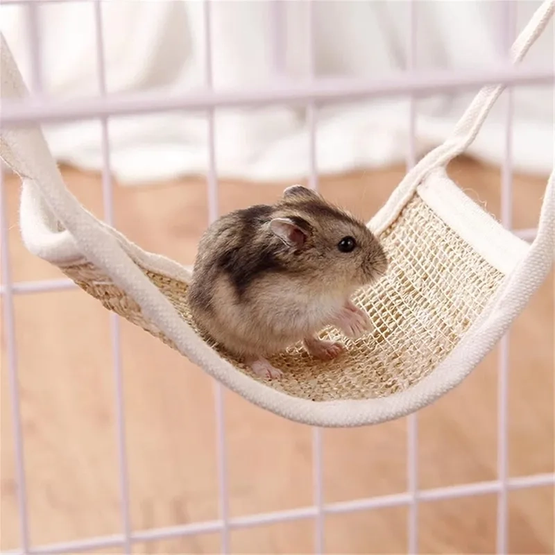 Meme ảnh chuột hamster chế đầy sáng tạo và dí dỏm