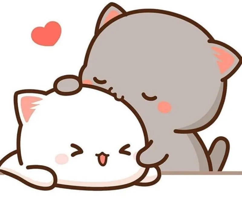 Cat kiss meme dễ thương không chịu nổi