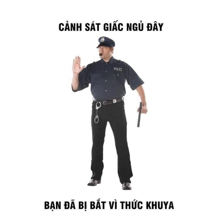 Thoải mái khi xem meme nằm ngủ siêu đáng yêu