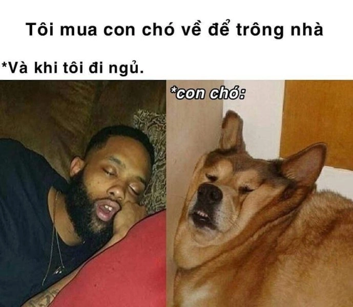 Trạng thái mệt mỏi nhưng vẫn hài qua meme thiếu ngủ