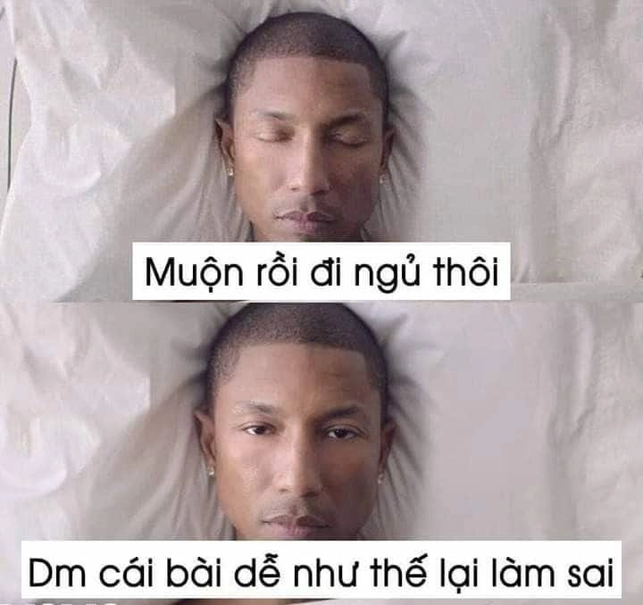 Tận hưởng cảm giác thư giãn với ảnh meme ngủ