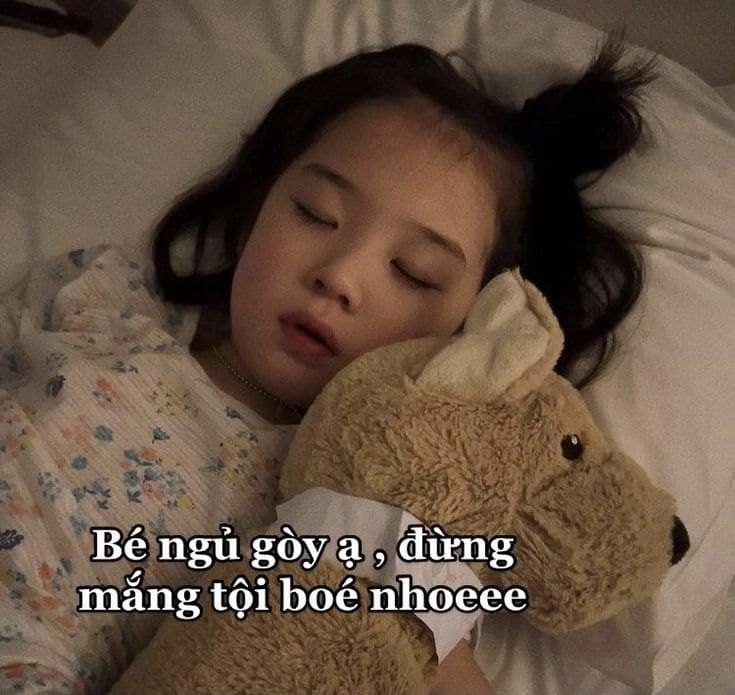 Tiếng cười không ngừng với meme chúc ngủ ngon hài hước