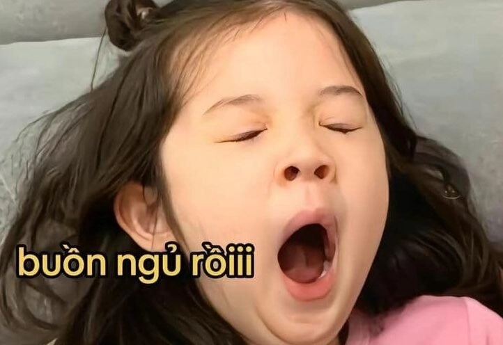 Cảm xúc ngái ngủ qua meme mèo mới ngủ dậy