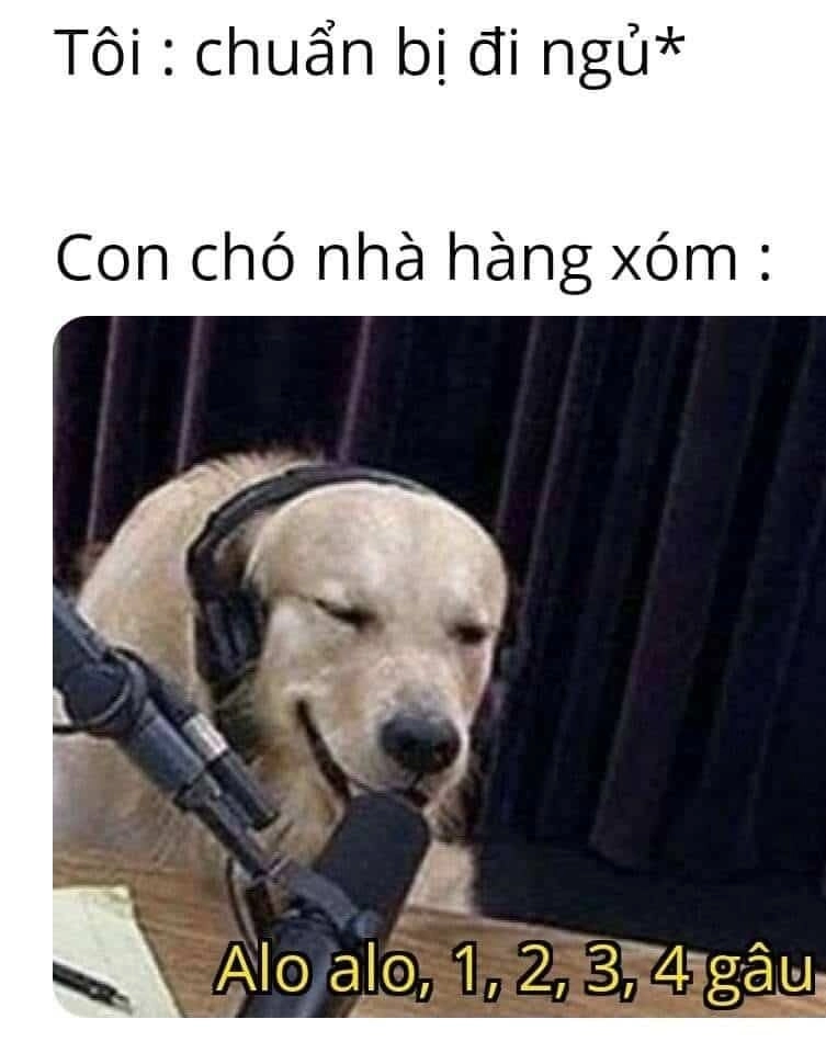 Chuyện cổ tích hiện đại qua công chúa ngủ trong rừng meme