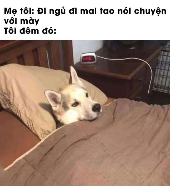 Trải nghiệm vui nhộn với meme công chúa ngủ trong rừng