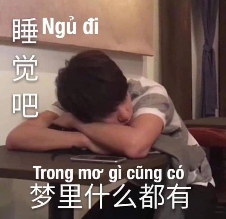 Mệt mỏi nhưng đáng yêu với ảnh meme buồn ngủ