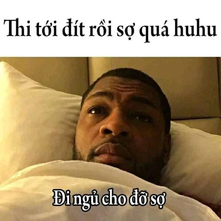 Thức dậy đáng yêu với meme mèo ngủ dậy