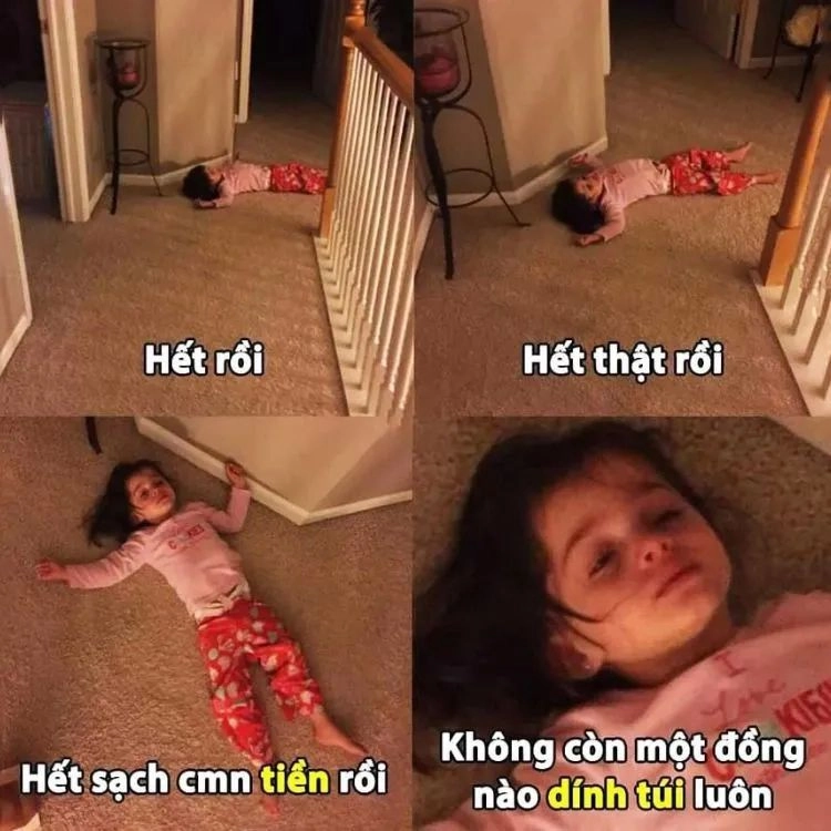 Meme mèo xin tiền hài hước nhất chắc chắn sẽ khiến bạn thích thú