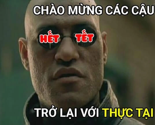 Sắc xuân tươi vui trong hình ảnh tết meme