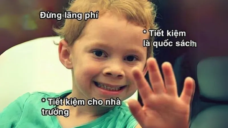 Avatar mèo noel meme siêu dễ thương cho mùa lễ hội