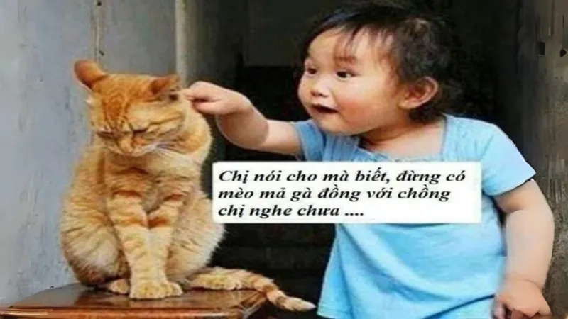 Meme cute hình icon dễ thương phù hợp cho mọi phong cách