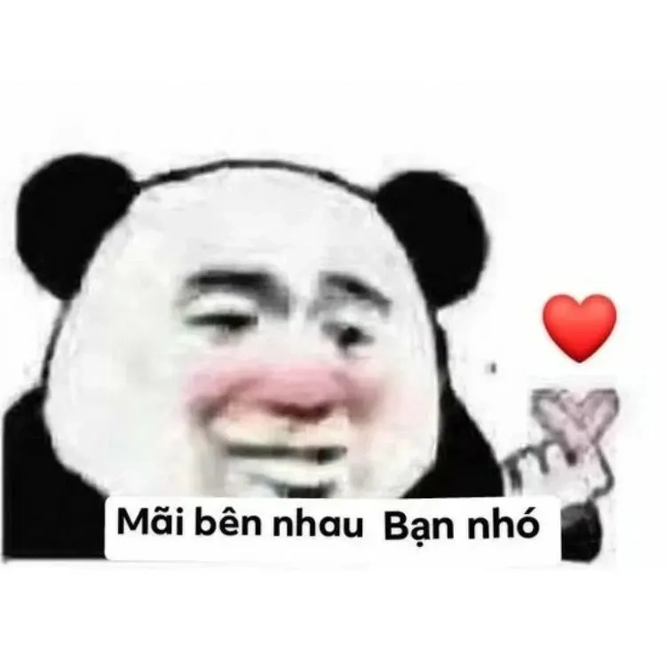 Ảnh bắn tim meme này sẽ là lý do để bạn phải nhấn like ngay