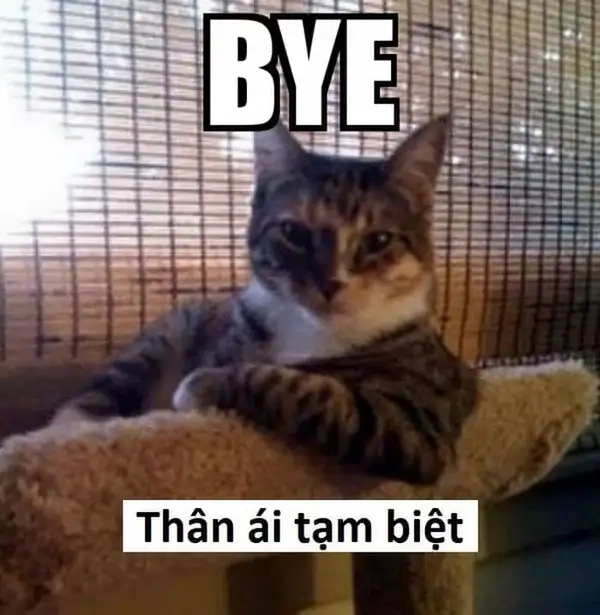 Bye meme gif siêu hài, làm nổi bật mọi bài viết