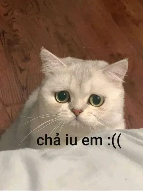 Cry about it meme mang thông điệp đầy châm biếm