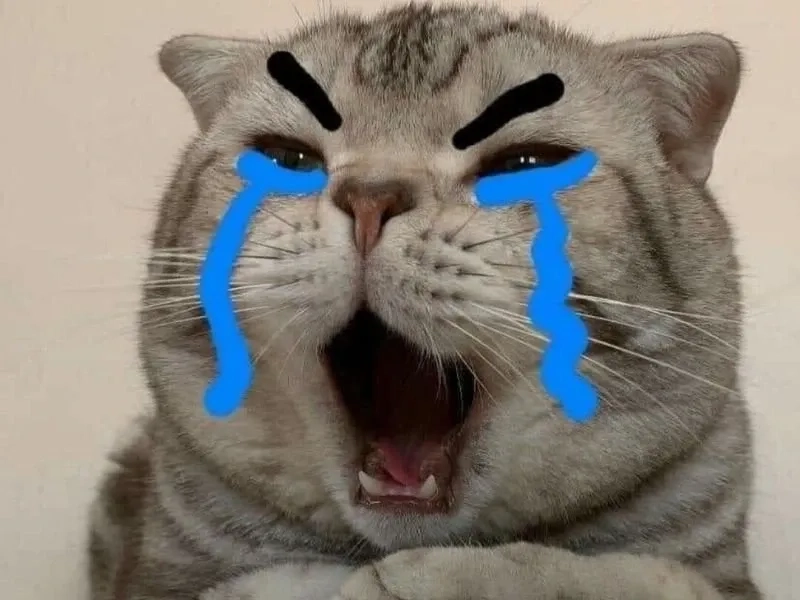 Crying pepe meme - biểu tượng hài hước của mọi tình huống