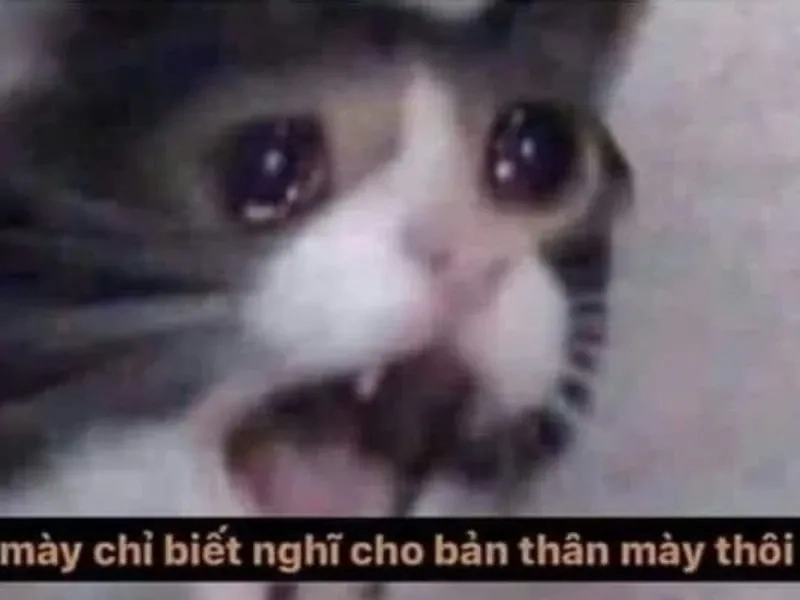 Black guy crying meme - hài hước nhưng đầy ý nghĩa