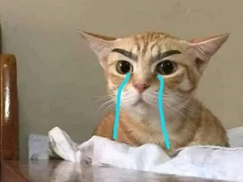 Cảm giác hỗn loạn qua angry crying meme siêu độc đáo