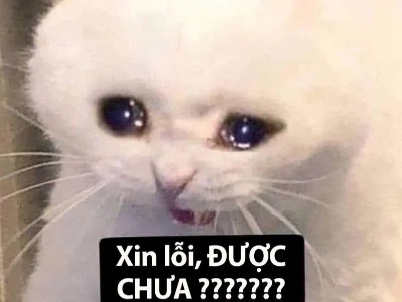 Wojak crying meme - meme biểu tượng vượt thời gian