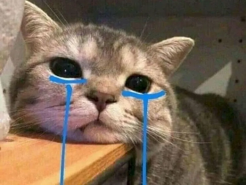 Aya asagiri crying meme - cảm giác buồn bã nhưng đầy ý nghĩa