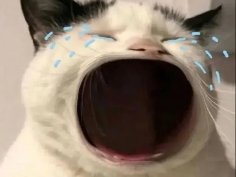 Jerry cry meme - hình ảnh thú vị cho ngày thêm năng lượng