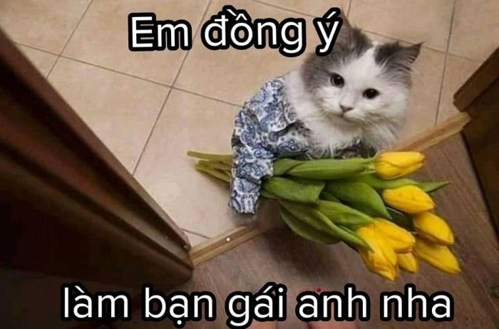 Avatar meme anime cute siêu ngầu và đáng yêu