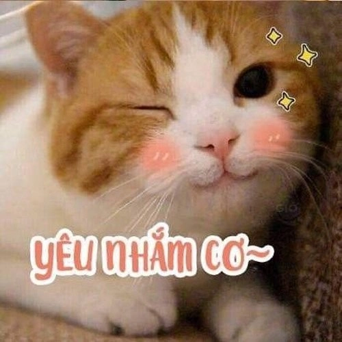 Mặt cười icon ảnh meme cute làm sáng bừng ngày mới