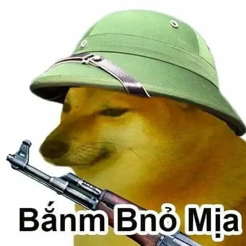 Meme doge cầm súng siêu ngầu làm bạn phải bật cười