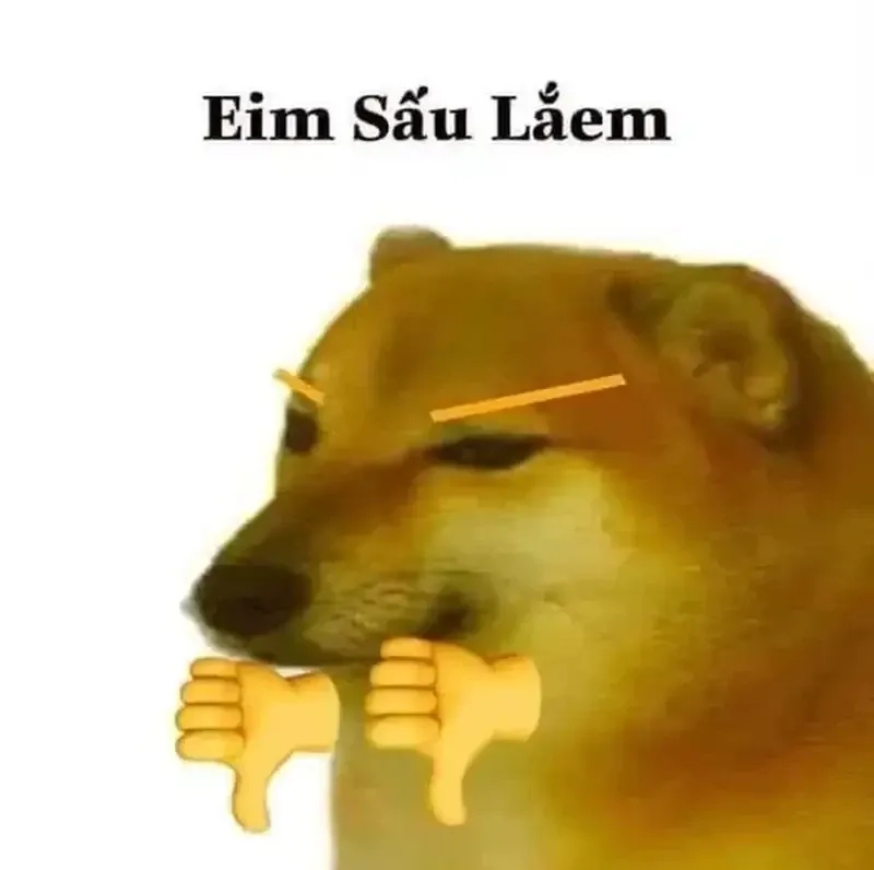 Cheems doge meme png chất lượng cao, tải ngay