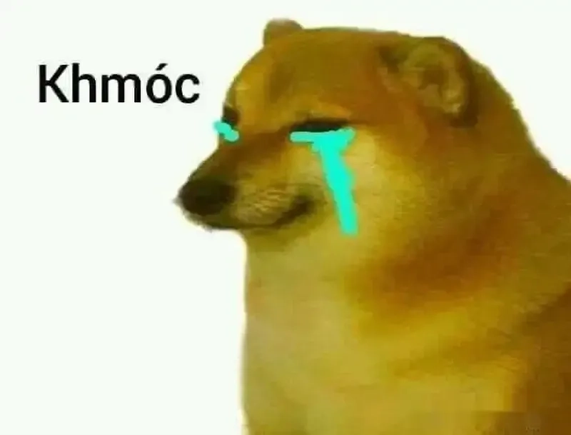 Meme dog sad buồn nhưng hài hước khó cưỡng