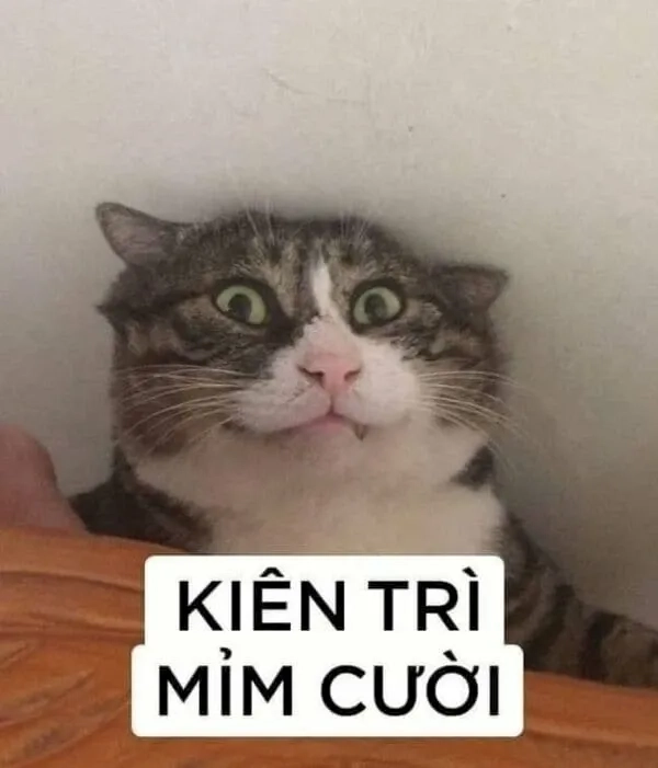 Thể hiện cảm xúc cực hài với haha no meme