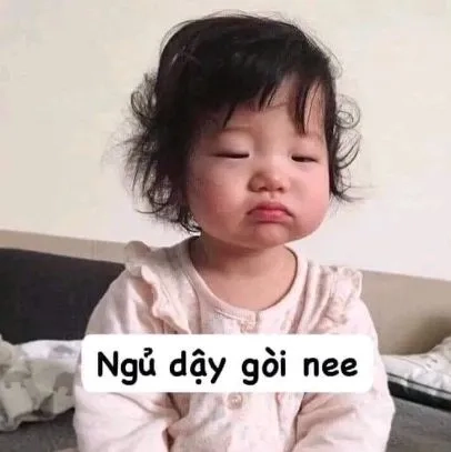 Tuyển chọn meme trung quốc hài hước gây bão mạng