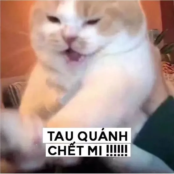 Meme ông chú bất lực và những tình huống dở khóc dở cười