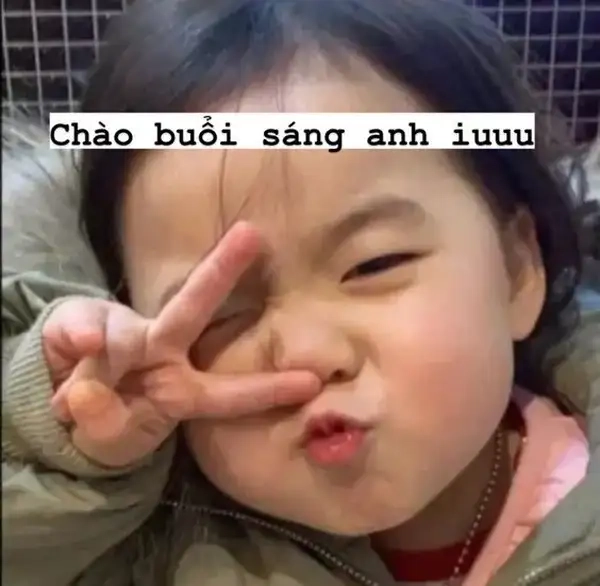 Hài hước và vui nhộn qua ảnh meme chào