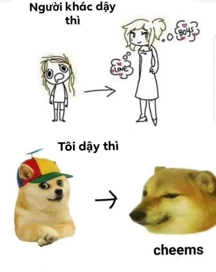 Cheems doge meme hài hước khó đỡ