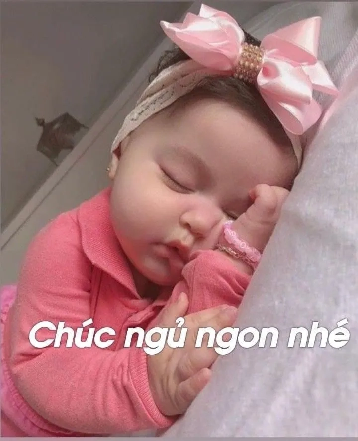 Mèo ngủ ngon meme dễ thương dành cho tín đồ yêu thú cưng