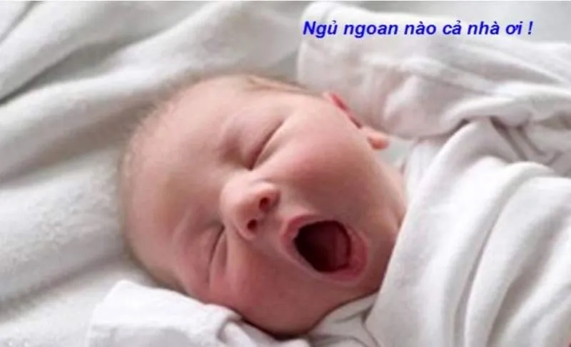 Meme chúc ngủ ngon đáng yêu, ngộ nghĩnh phù hợp để gửi lời chúc