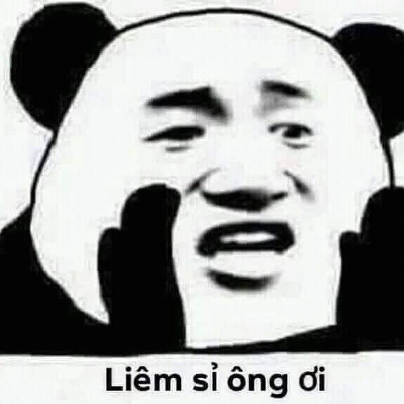 Biểu cảm cực chất trong meme chửi ngu siêu vui