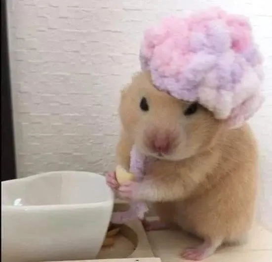 Bộ sưu tập cute hài hước meme chuột hamster dành riêng cho bạn