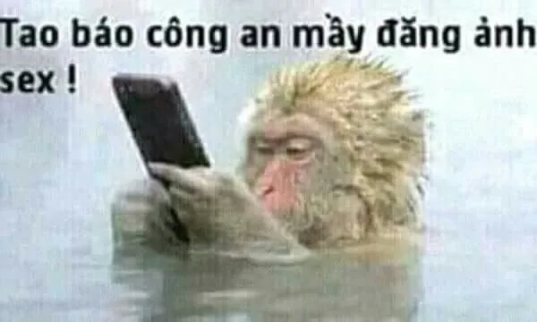 Những pha xử lý bất ngờ trong meme bị công an bắt, giải trí cực đỉnh