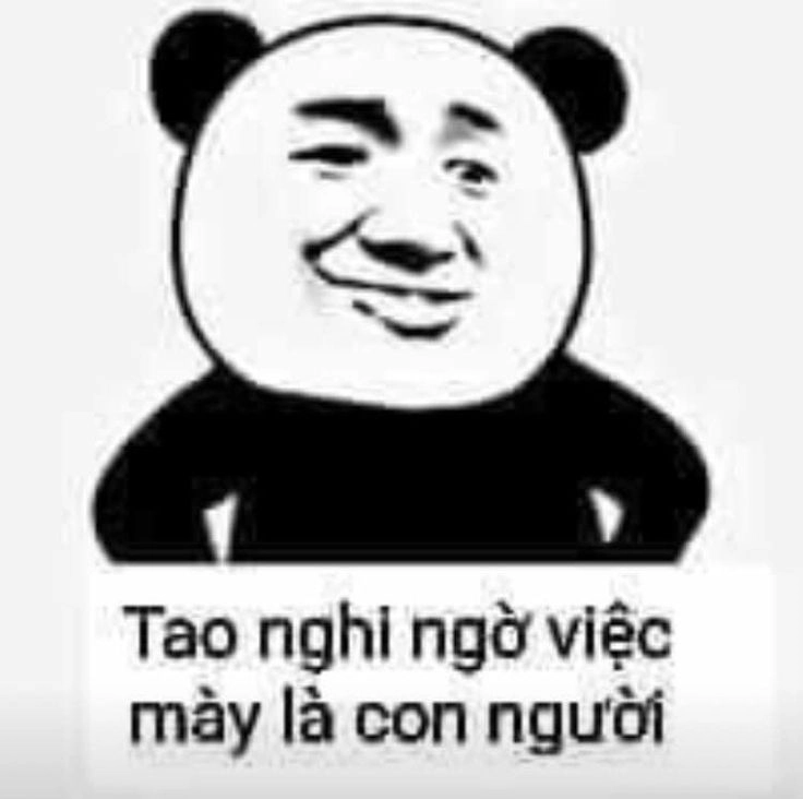 Meme mèo cười nham hiểm và ánh mắt tinh quái