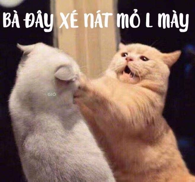 Meme cười gian xảo khiến ai cũng phải bật cười