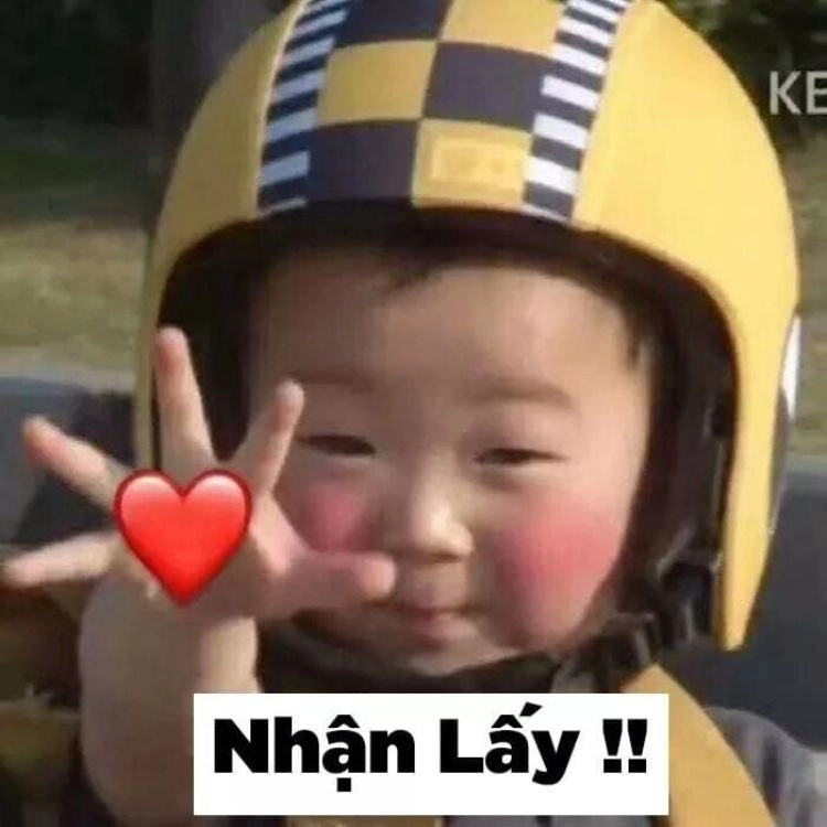 Chó meme cute làm sáng bừng mọi không gian