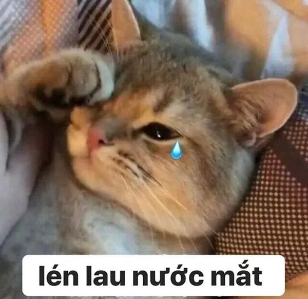 Meme bất lực không nói nên lời đầy hài hước