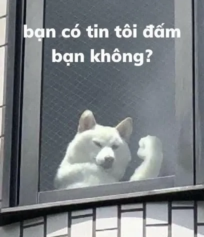 Bộ sưu tập meme doge việt nam độc quyền, siêu chất