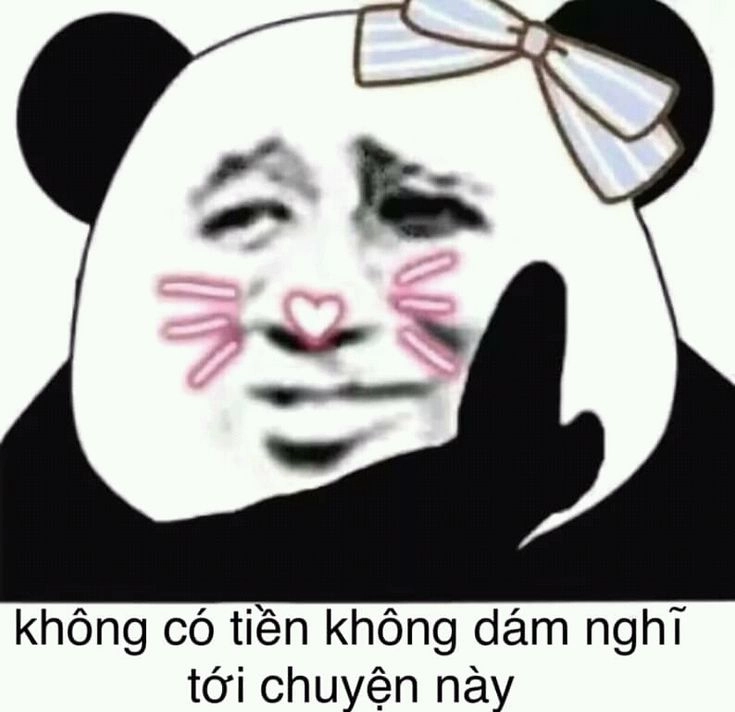 Xem ngay meme con gấu trúc dễ thương nhất