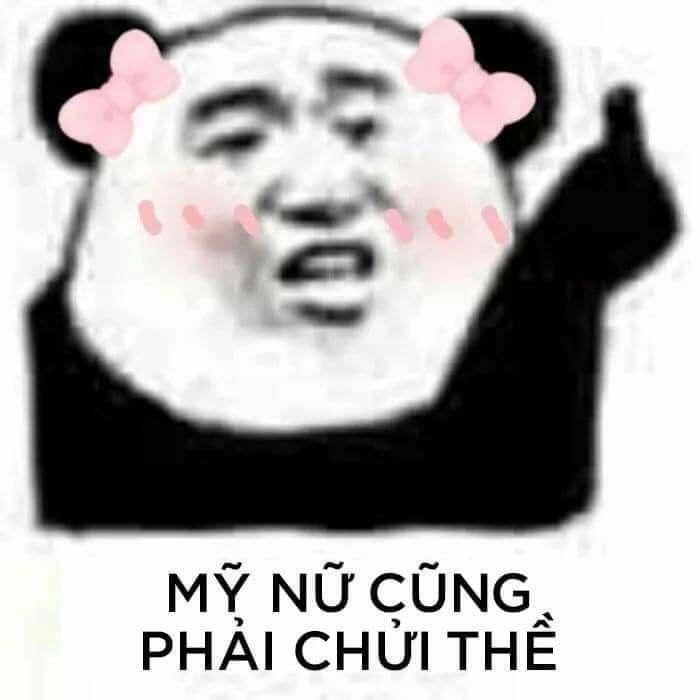 Cười thả ga với meme hài gấu trúc