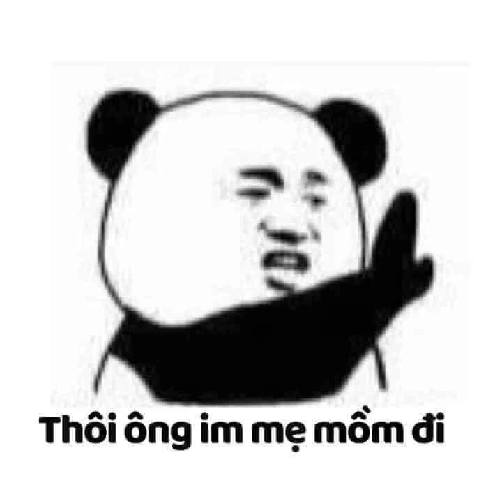 Dễ thương thực sự với meme gấu trúc thật